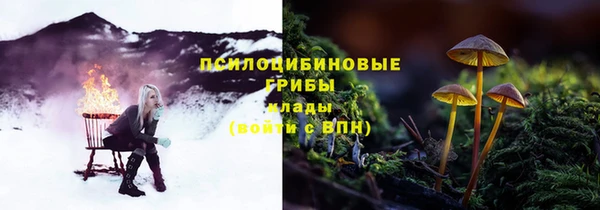 тгк Абдулино