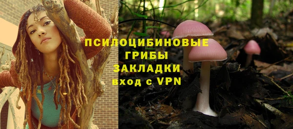 спиды Абинск