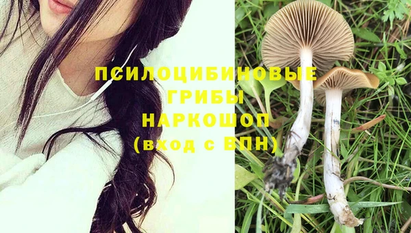 спиды Абинск